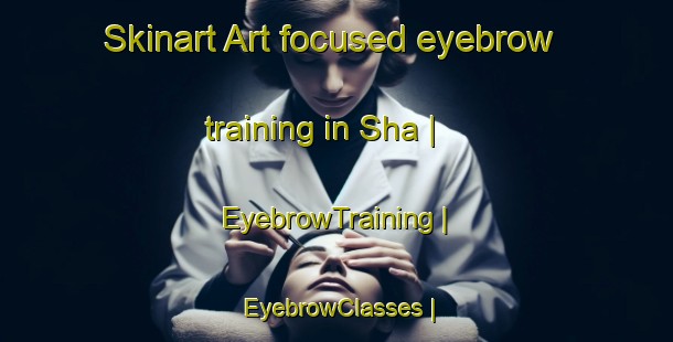 Skinart Art-focused eyebrow training in Sha | EyebrowTraining | EyebrowClasses | SkinartTraining-the Democratic Republic of the Congo